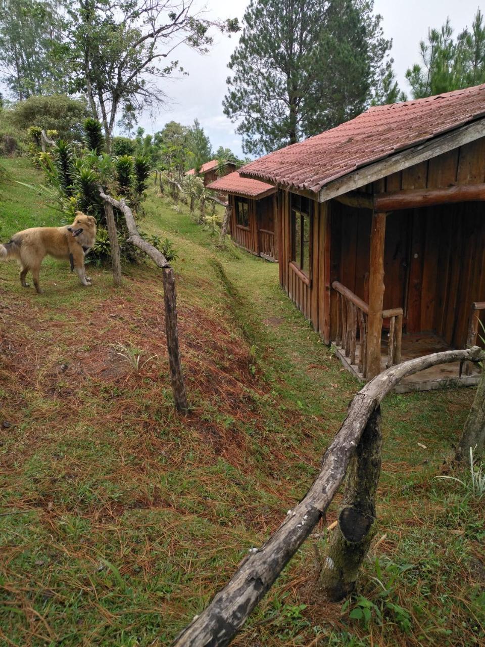 Cabecera de Canas Cabanas Don Camilo Albergue De Montana מראה חיצוני תמונה