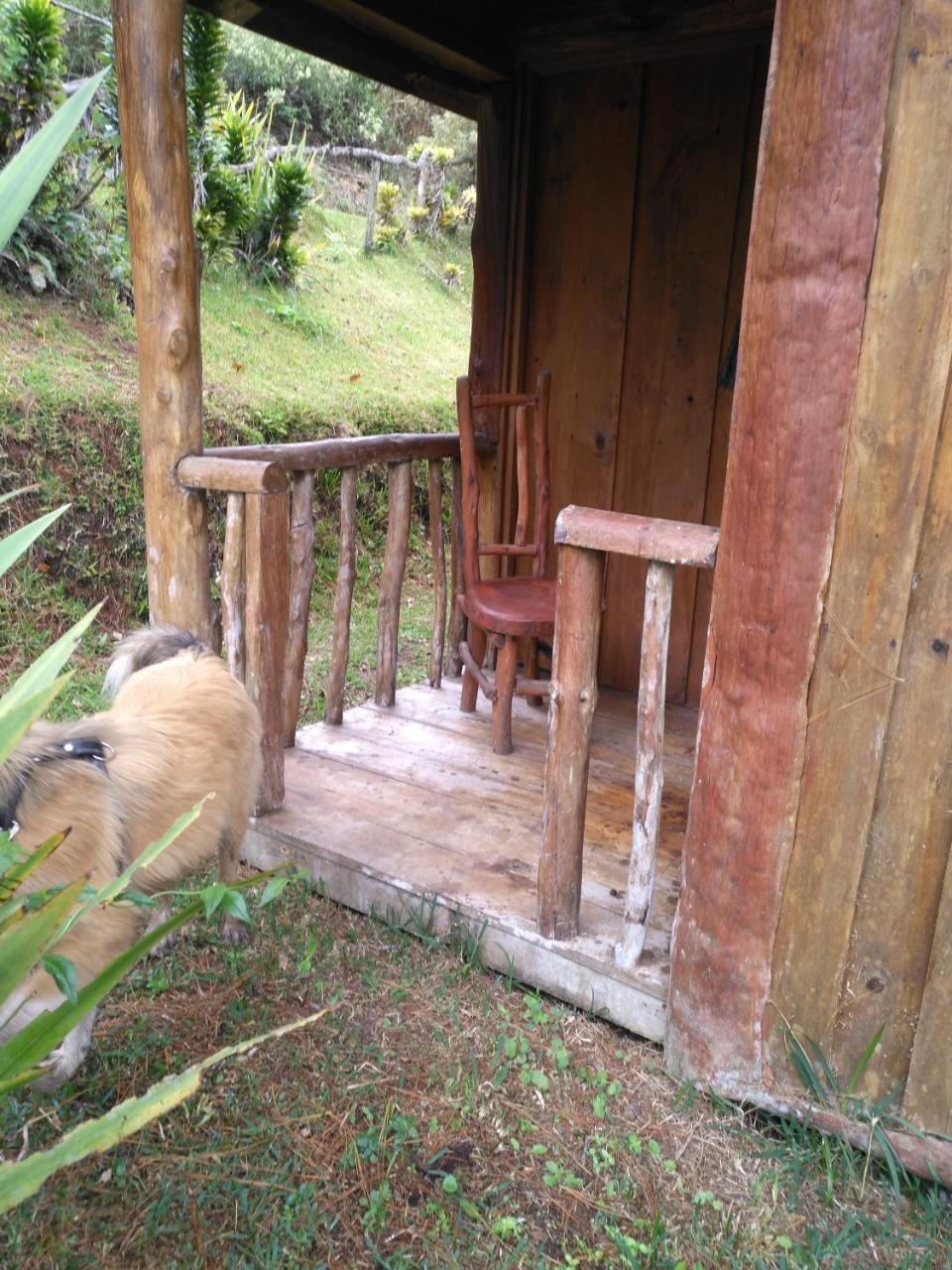 Cabecera de Canas Cabanas Don Camilo Albergue De Montana מראה חיצוני תמונה