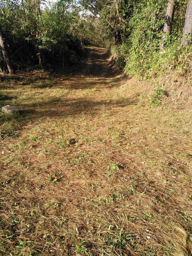 Cabecera de Canas Cabanas Don Camilo Albergue De Montana מראה חיצוני תמונה