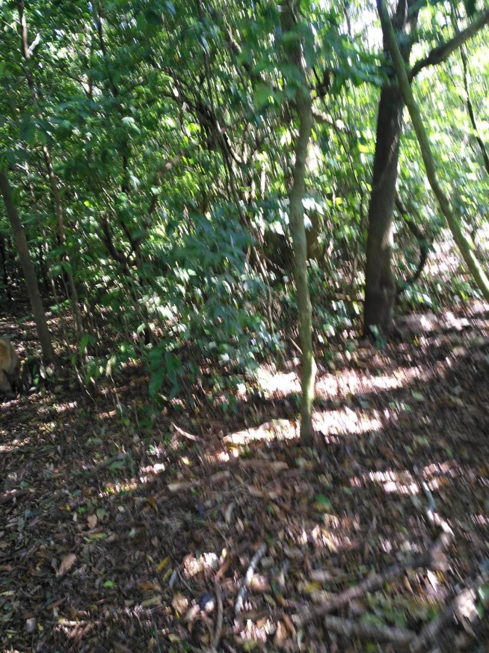 Cabecera de Canas Cabanas Don Camilo Albergue De Montana מראה חיצוני תמונה