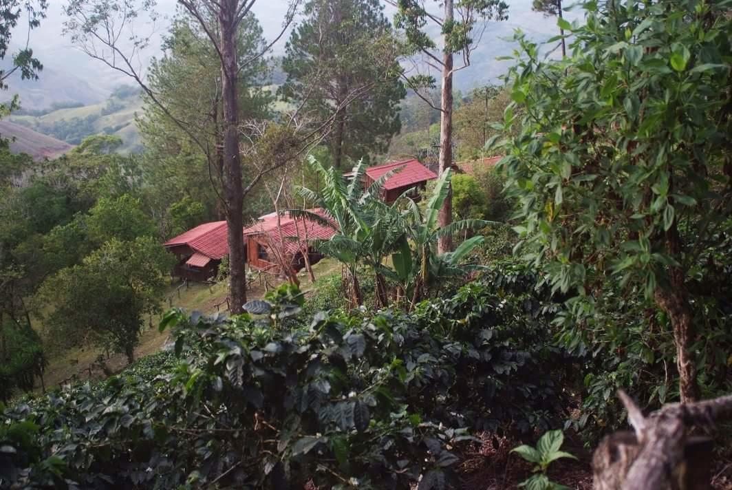 Cabecera de Canas Cabanas Don Camilo Albergue De Montana מראה חיצוני תמונה